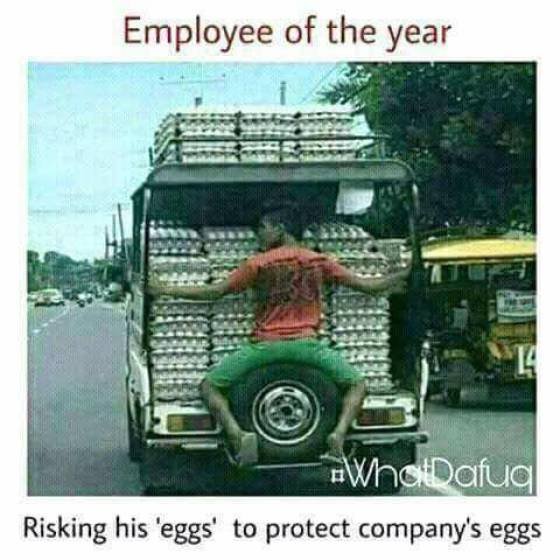 Bildschirmarbeiter - Picdump 25.08.2017