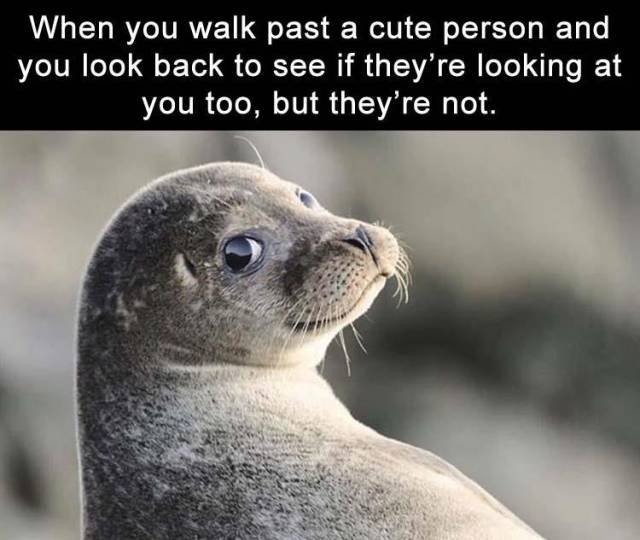 Bildschirmarbeiter - Picdump 25.08.2017