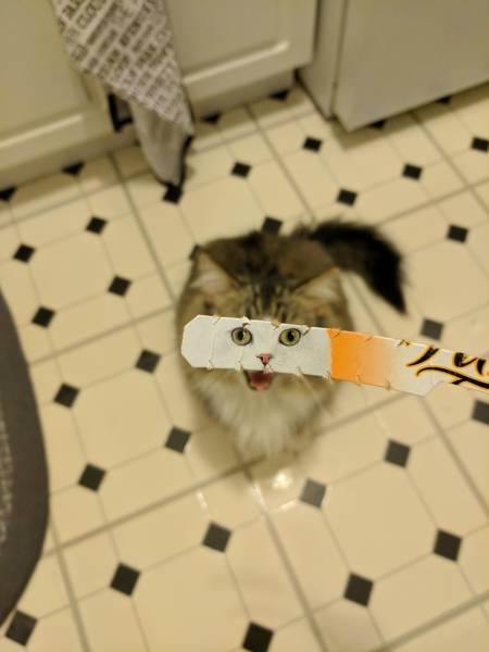 Bildschirmarbeiter - Picdump 25.08.2017