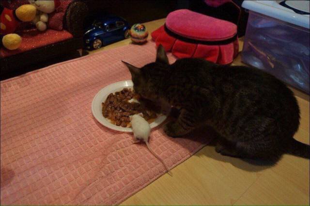 Bildschirmarbeiter - Picdump 01.09.2017