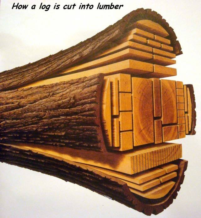 Bildschirmarbeiter - Picdump 01.09.2017