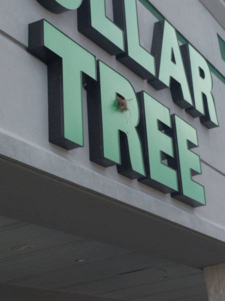 Bildschirmarbeiter - Picdump 01.09.2017