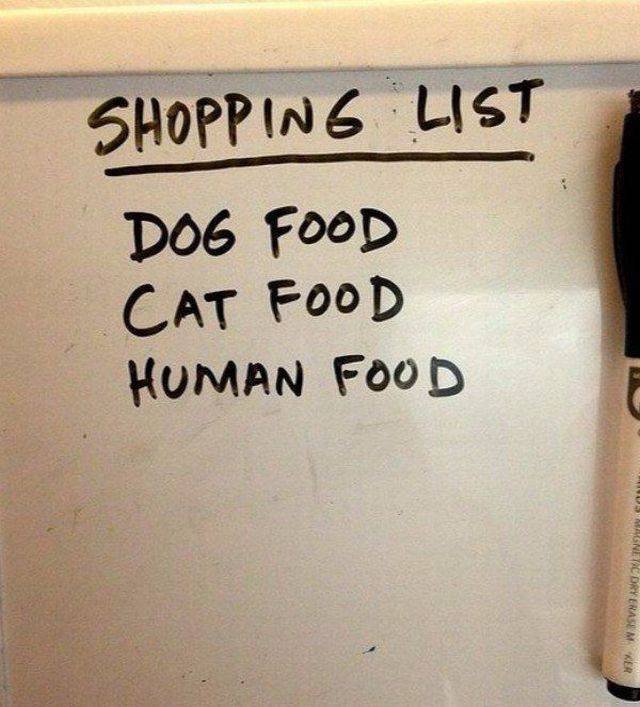 Bildschirmarbeiter - Picdump 01.09.2017