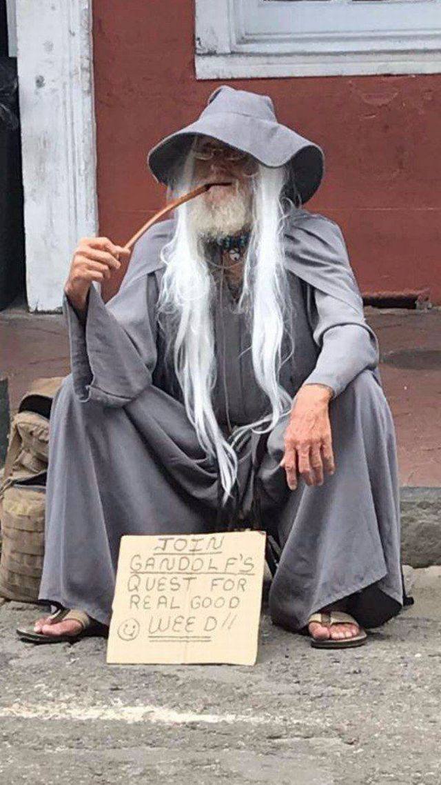 Bildschirmarbeiter - Picdump 01.09.2017