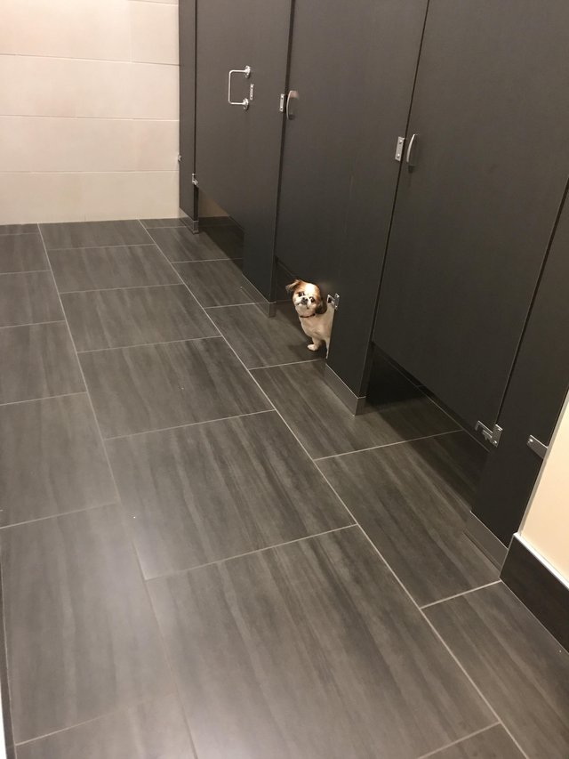 Bildschirmarbeiter - Picdump 01.09.2017