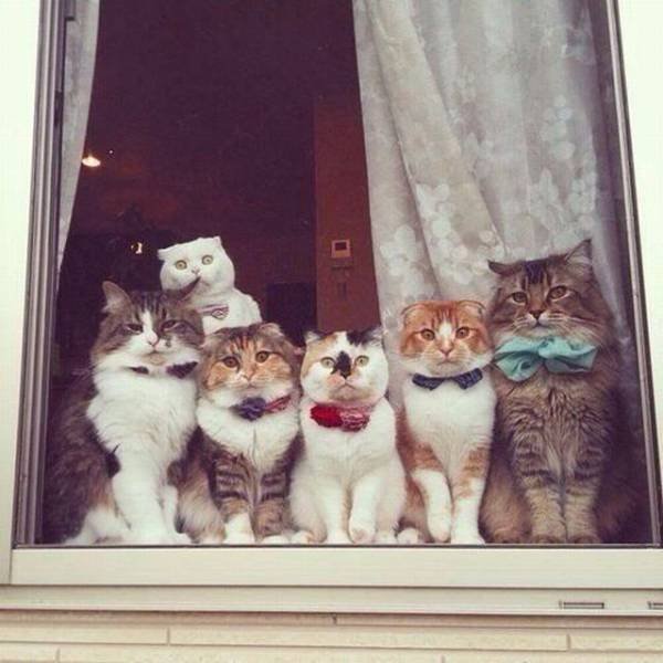 Bildschirmarbeiter - Picdump 01.09.2017