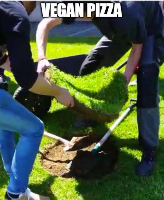 Bildschirmarbeiter - Picdump 01.09.2017