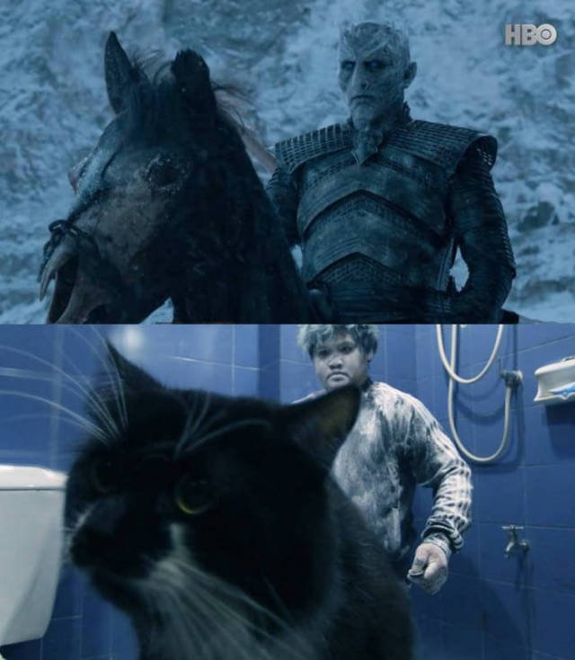 Bildschirmarbeiter - Picdump 01.09.2017