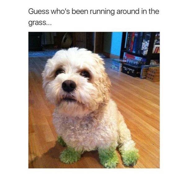 Bildschirmarbeiter - Picdump 01.09.2017