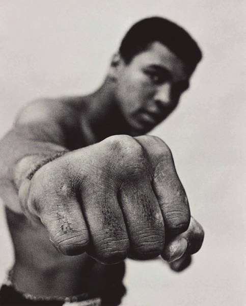 Bildschirmarbeiter - Picdump 01.09.2017