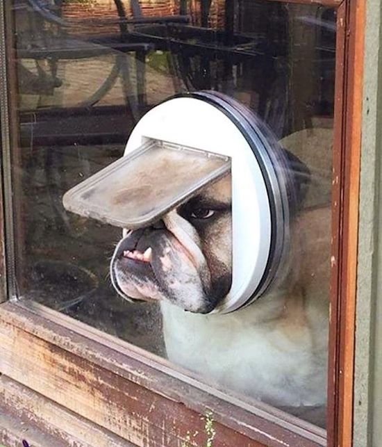 Bildschirmarbeiter - Picdump 01.09.2017