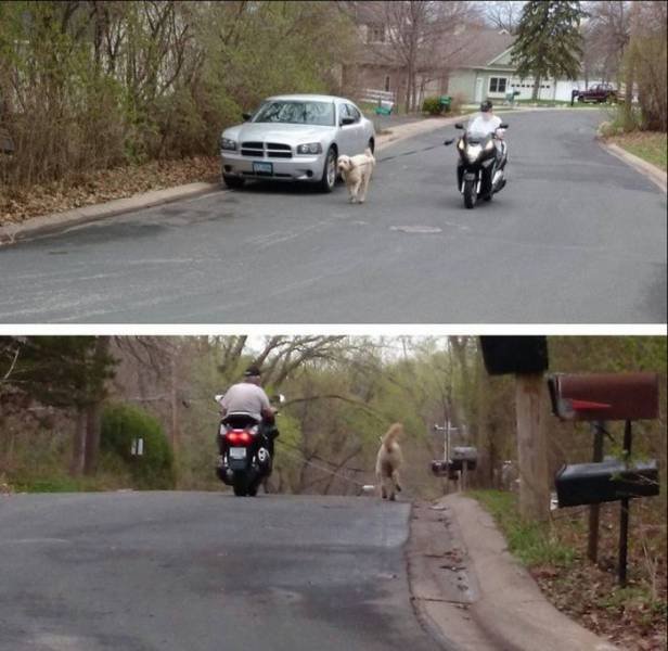 Bildschirmarbeiter - Picdump 01.09.2017