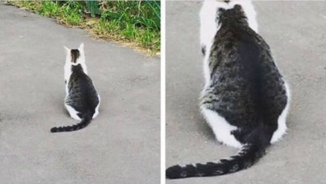 Bildschirmarbeiter - Picdump 08.09.2017