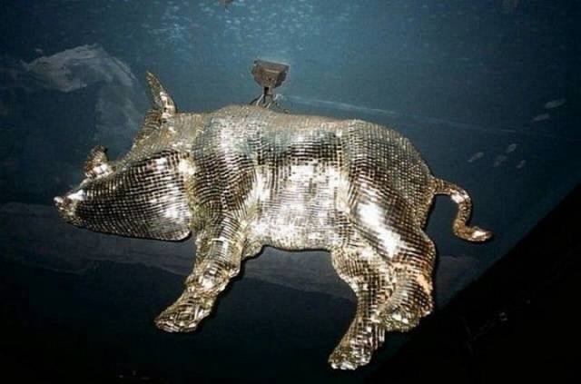 Bildschirmarbeiter - Picdump 08.09.2017