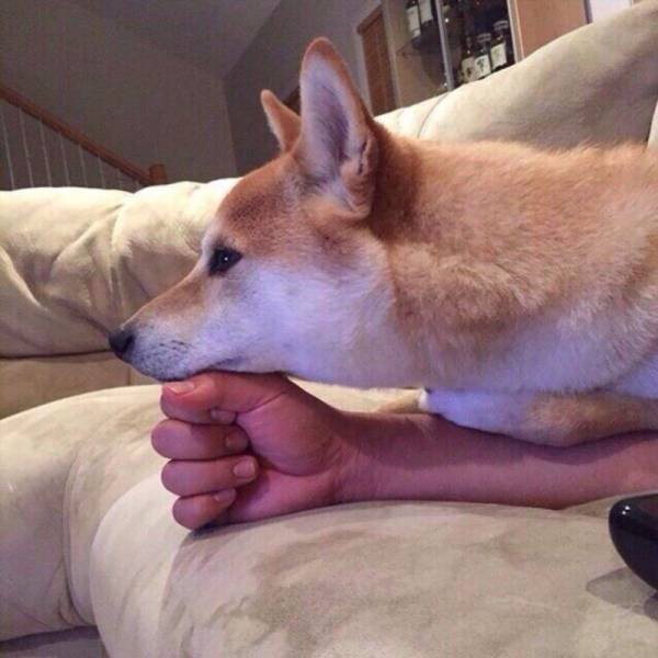 Bildschirmarbeiter - Picdump 08.09.2017