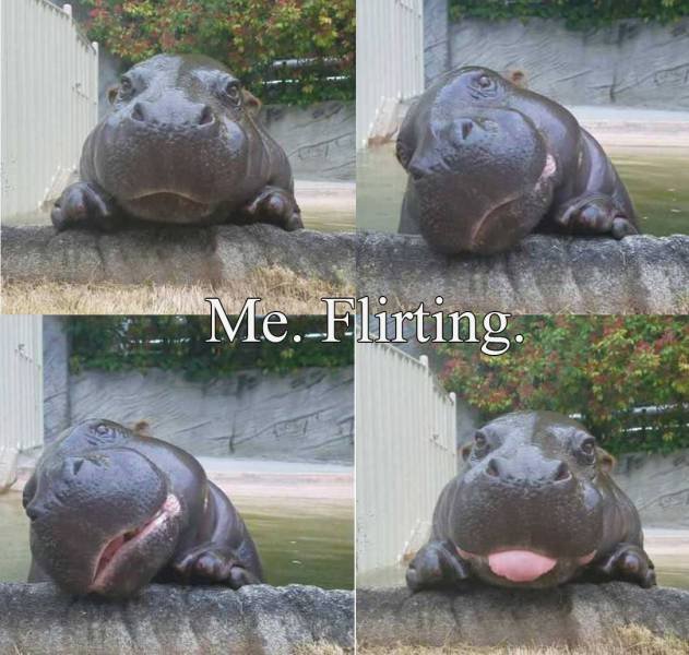 Bildschirmarbeiter - Picdump 08.09.2017