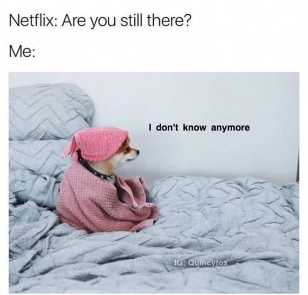 Bildschirmarbeiter - Picdump 08.09.2017