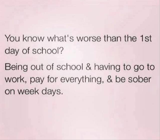 Bildschirmarbeiter - Picdump 08.09.2017