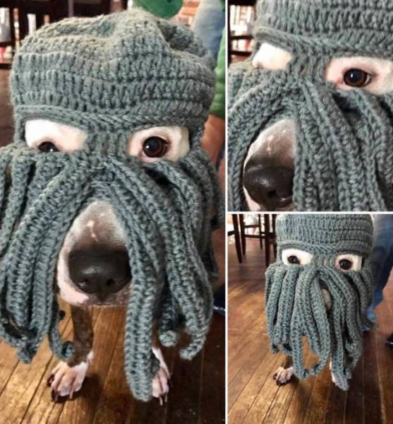 Bildschirmarbeiter - Picdump 08.09.2017