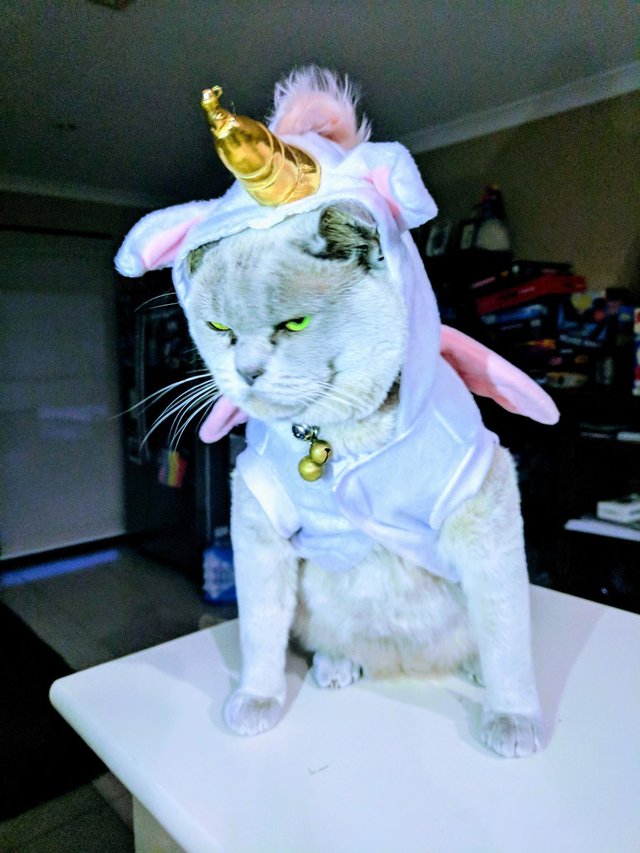 Bildschirmarbeiter - Picdump 08.09.2017