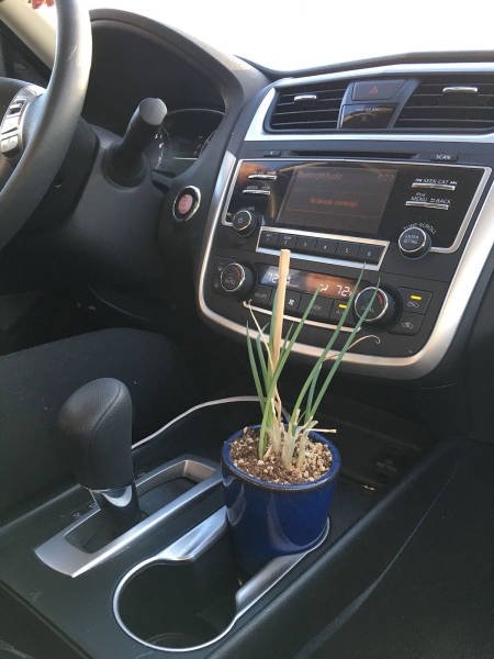 Bildschirmarbeiter - Picdump 08.09.2017