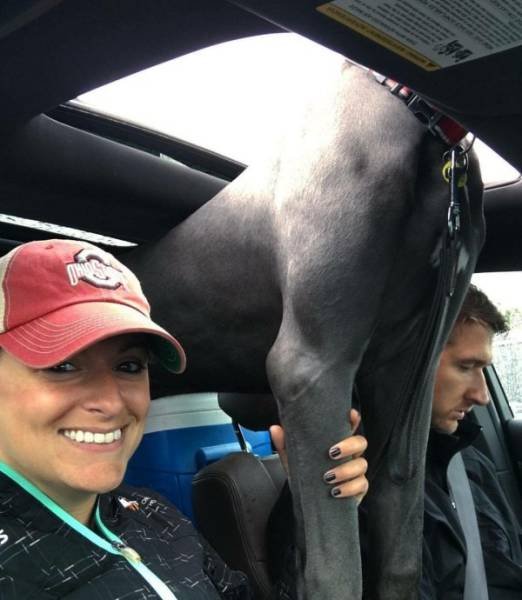 Bildschirmarbeiter - Picdump 15.09.2017