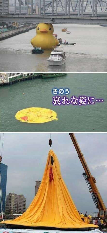 Bildschirmarbeiter - Picdump 15.09.2017