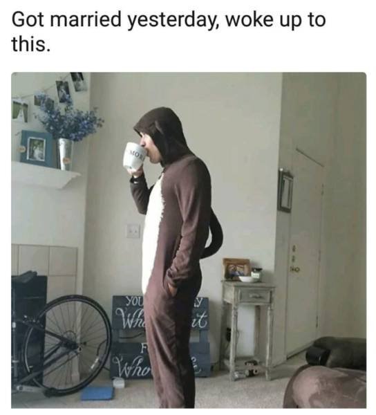 Bildschirmarbeiter - Picdump 15.09.2017