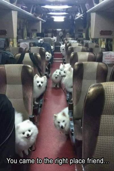 Bildschirmarbeiter - Picdump 15.09.2017