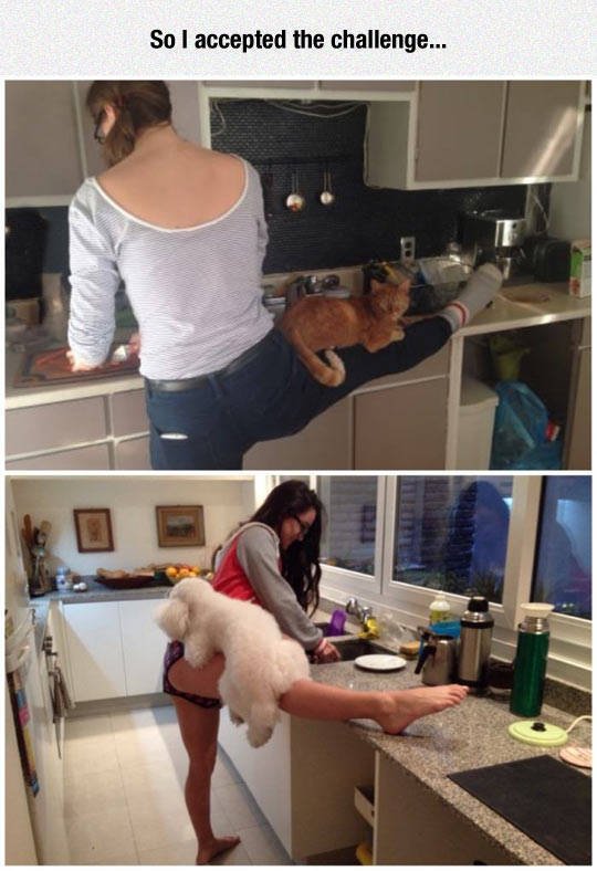 Bildschirmarbeiter - Picdump 15.09.2017