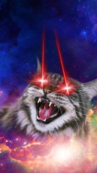 Bildschirmarbeiter - Picdump 15.09.2017