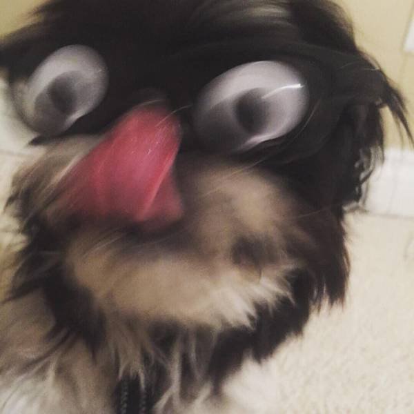 Bildschirmarbeiter - Picdump 15.09.2017