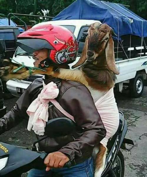 Bildschirmarbeiter - Picdump 15.09.2017