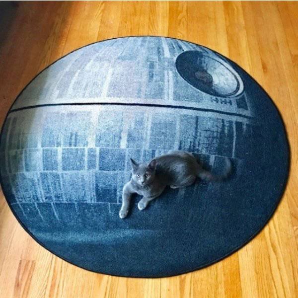 Bildschirmarbeiter - Picdump 22.09.2017