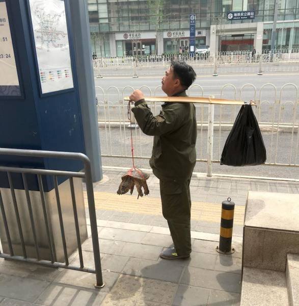 Bildschirmarbeiter - Picdump 22.09.2017