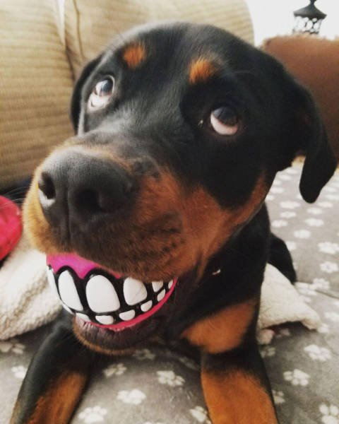 Bildschirmarbeiter - Picdump 22.09.2017