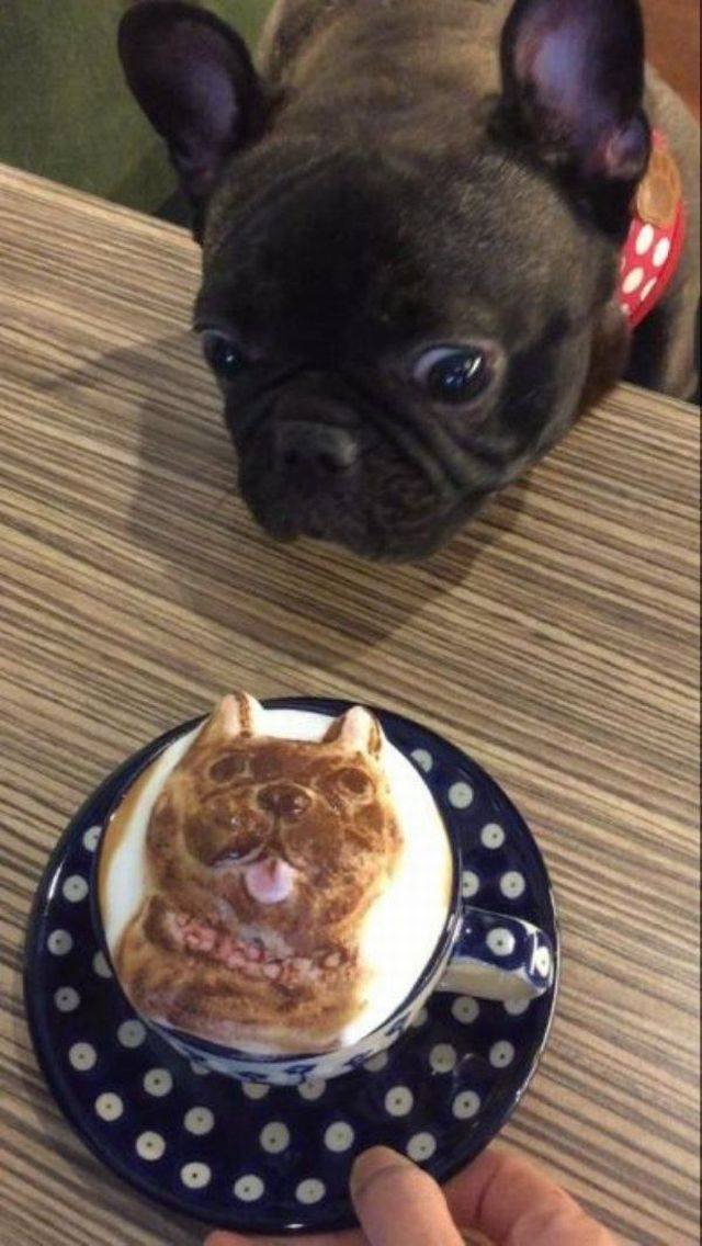 Bildschirmarbeiter - Picdump 22.09.2017