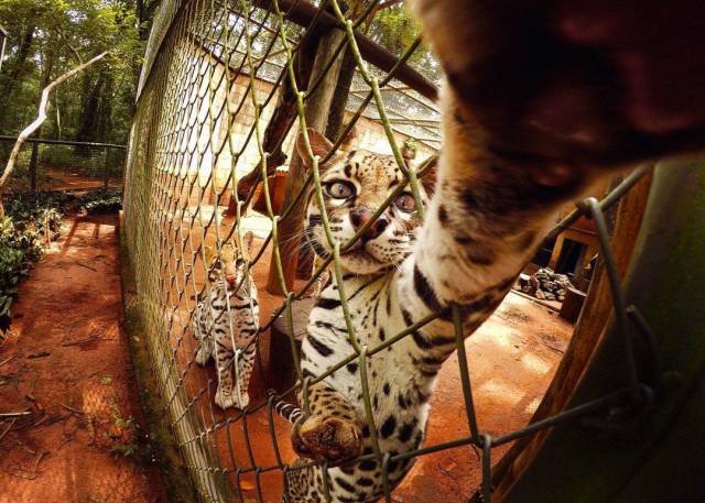 Bildschirmarbeiter - Picdump 22.09.2017