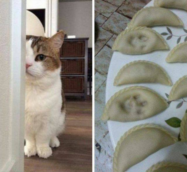 Bildschirmarbeiter - Picdump 22.09.2017