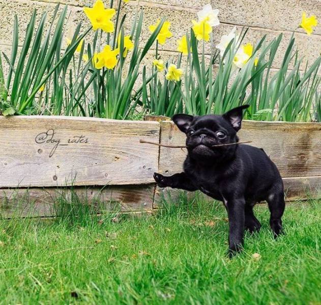 Bildschirmarbeiter - Picdump 22.09.2017