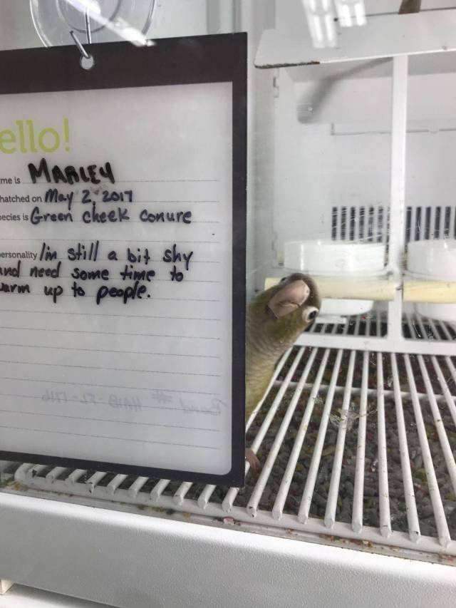 Bildschirmarbeiter - Picdump 22.09.2017