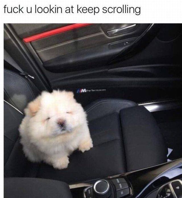 Bildschirmarbeiter - Picdump 22.09.2017