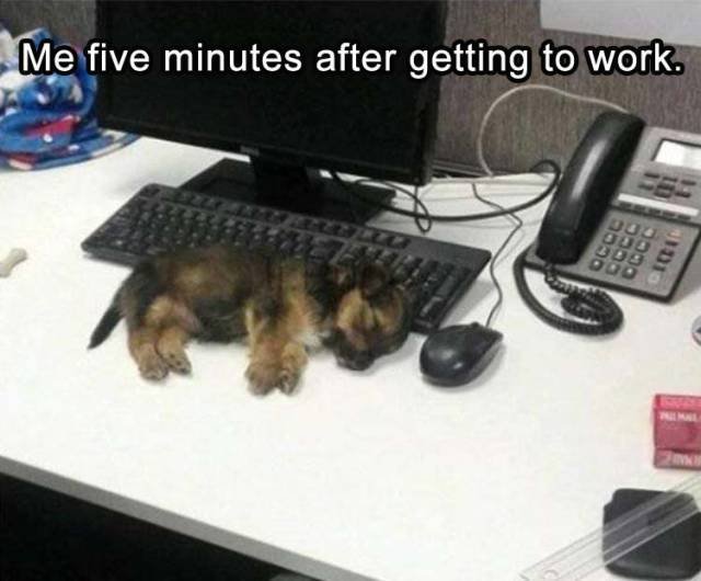 Bildschirmarbeiter - Picdump 22.09.2017