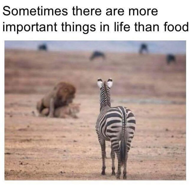 Bildschirmarbeiter - Picdump 22.09.2017