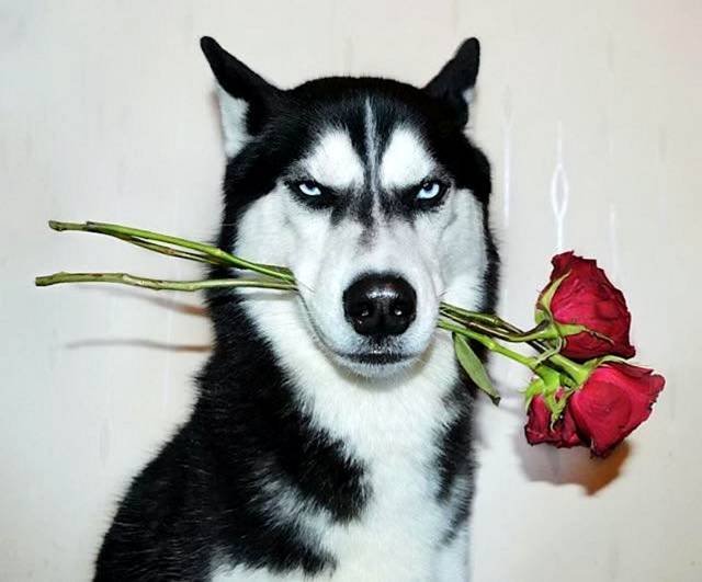 Bildschirmarbeiter - Picdump 22.09.2017