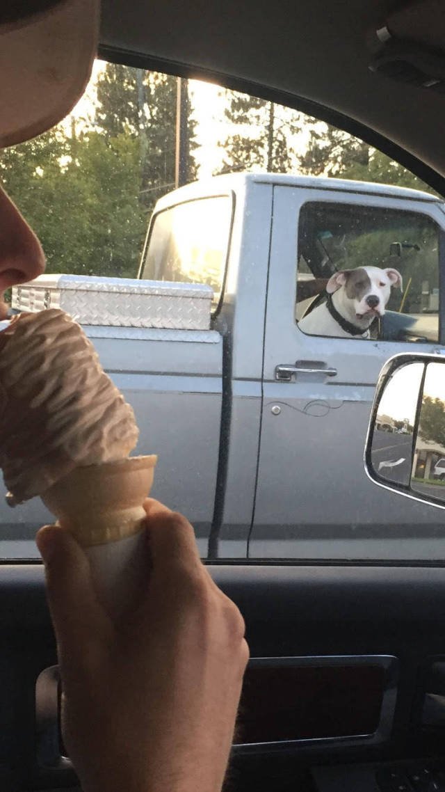 Bildschirmarbeiter - Picdump 22.09.2017