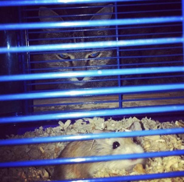 Bildschirmarbeiter - Picdump 22.09.2017