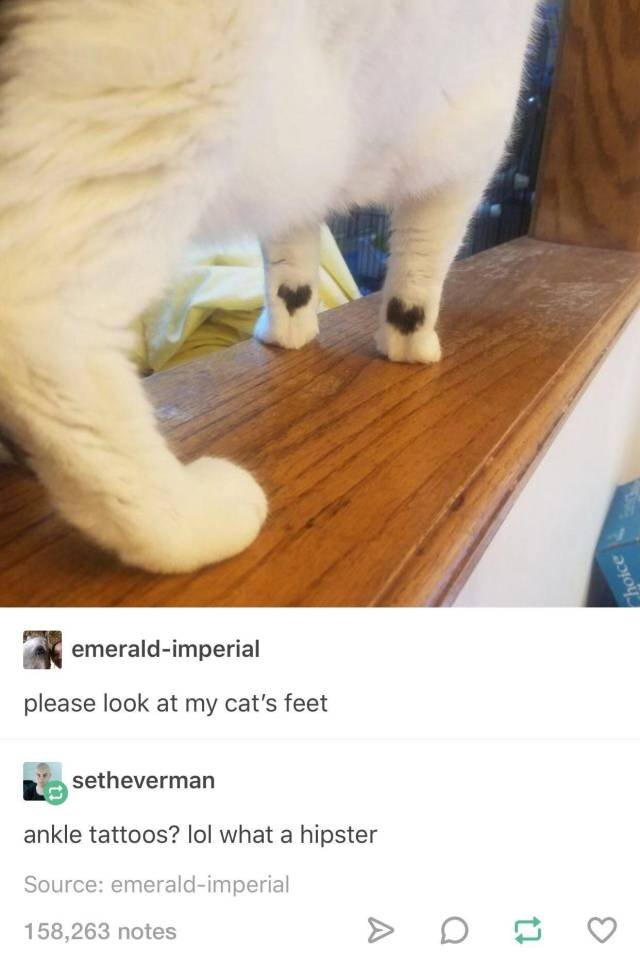 Bildschirmarbeiter - Picdump 29.09.2017