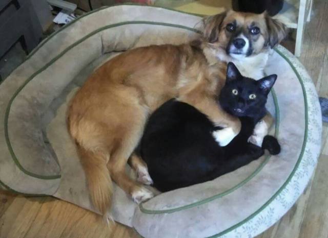 Bildschirmarbeiter - Picdump 29.09.2017