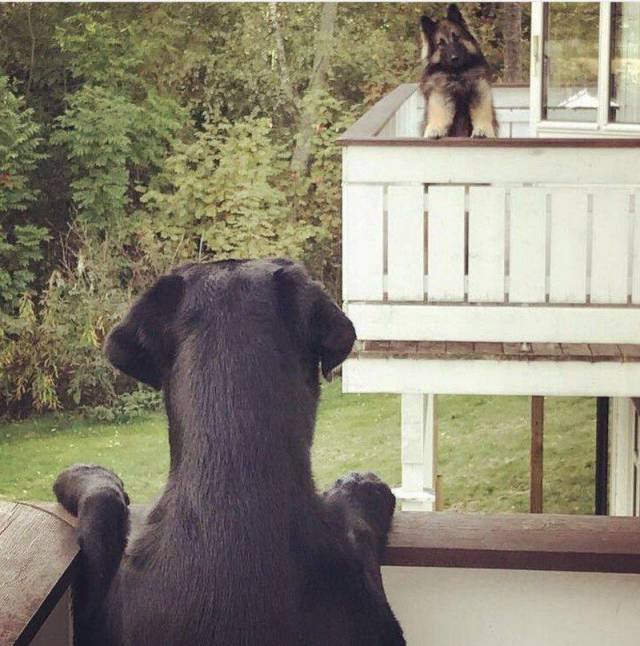 Bildschirmarbeiter - Picdump 29.09.2017